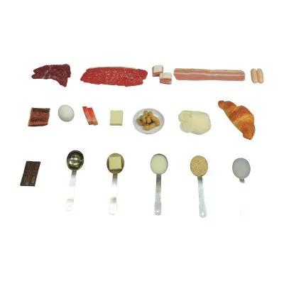 フードモデル 脂質 脂肪 の多い食品 食品サンプル 25555100 イワイサンプル 37 ジシャクアリ