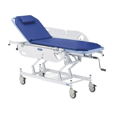 昇降式ストレッチャー 全輪ストッパ付 背上げ機構付 24319301 日進医療器 NBST-210EB セアゲツキ