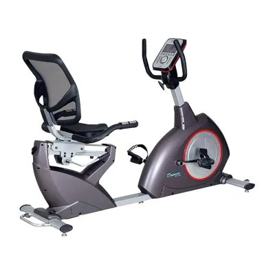 リカンベントバイク 家庭用 トレーニング用品 25674600 DAIKOU DK-8718RP