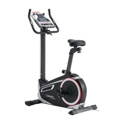 アップライトバイク 準業務用 トレーニング用品 25673900 DAIKOU DK-1007A